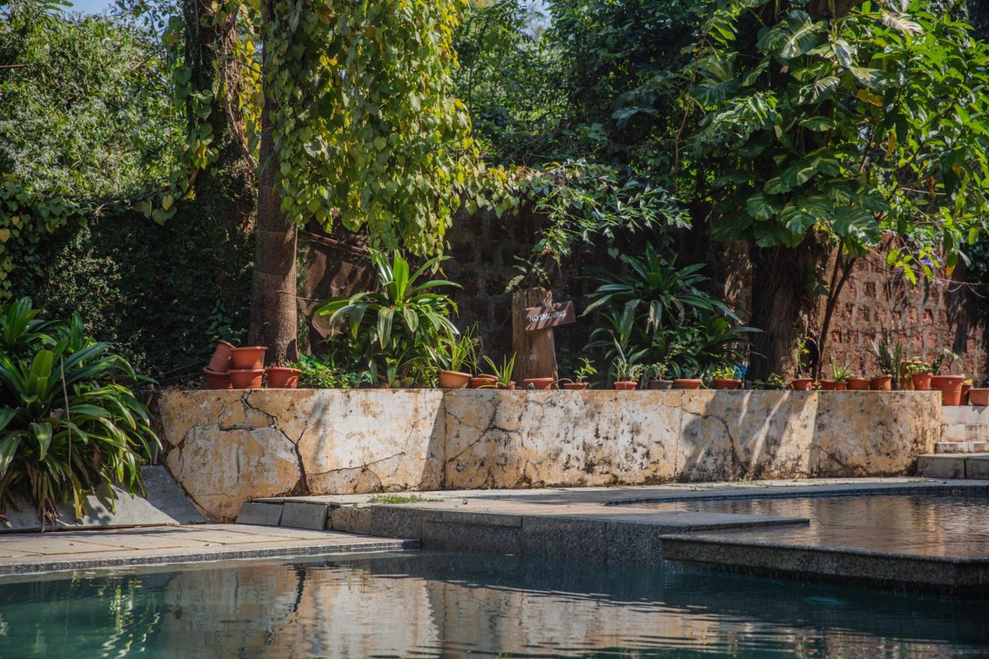 Satori Wellness Cottages I Yoga, Sauna, Ice Bath, Holistic Therapies & More Mandrem Exteriér fotografie